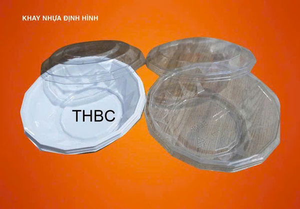Khay nhựa định hình