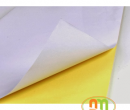 Giấy Decal trắng - Văn Phòng Phẩm Nhật Minh - Công Ty TNHH TRADING & SERVICE Nhật Minh