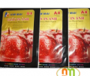 Giấy in ảnh A4 Kim Mai - Văn Phòng Phẩm Nhật Minh - Công Ty TNHH TRADING & SERVICE Nhật Minh