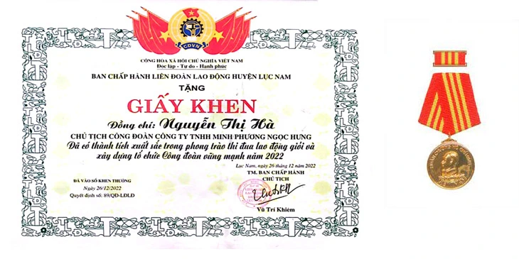 Giải thưởng - Ván ép Phủ Phim Vietnam plywood - Công Ty TNHH XNK HSM