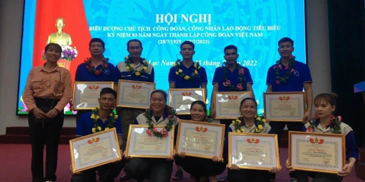 Giải thưởng - Ván ép Phủ Phim Vietnam plywood - Công Ty TNHH XNK HSM