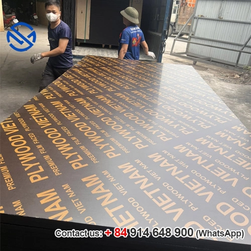 Ván Coffa phủ phim - Ván ép Phủ Phim Vietnam plywood - Công Ty TNHH XNK HSM