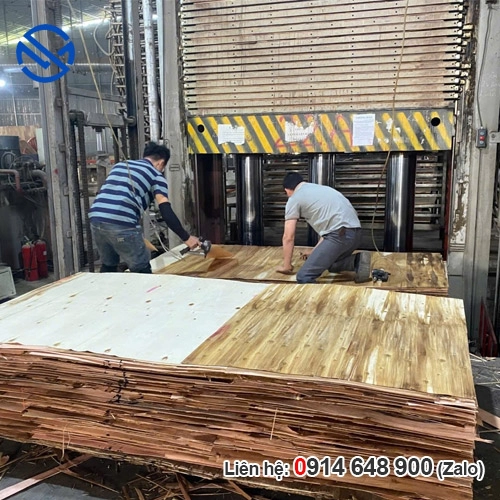 Ván ép phủ phim 2 mặt 12mm - Ván ép Phủ Phim Vietnam plywood - Công Ty TNHH XNK HSM