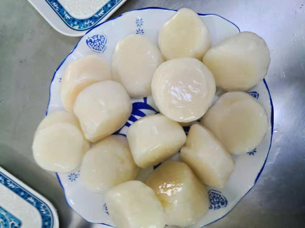 Sò điệp