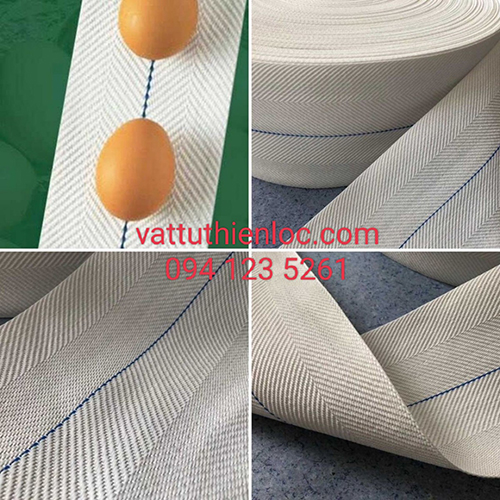 Băng tải trứng gà - Dây Curoa Thiên Lộc - Công Ty TNHH Vật Tư Thiên Lộc ST
