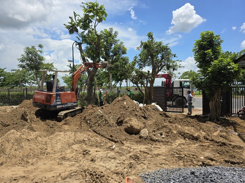 Dự án thi công công trình cây xanh tại KĐT Vitapoint