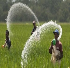 Công bố hợp quy cho ngành nông nghiệp