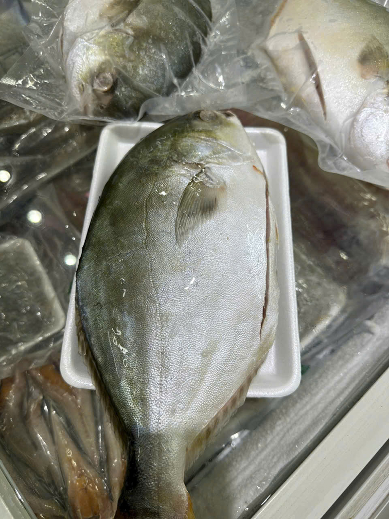 Cá chim