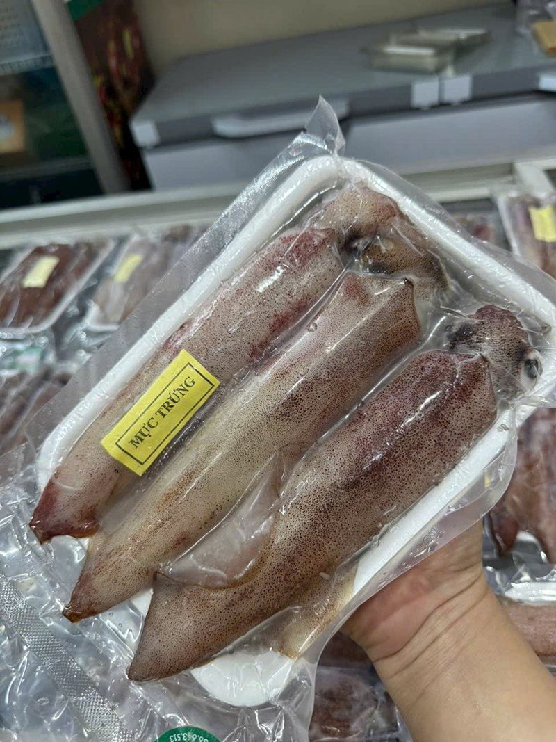 Mực ống