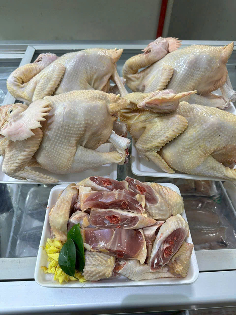 Thịt gà