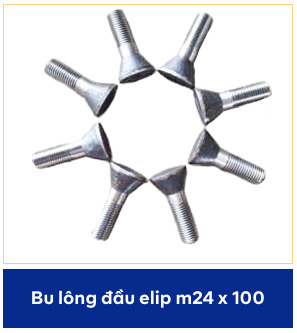 Bu lông đầu Elip M24x100
