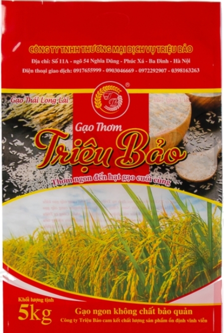 Bao bì màng ghép đựng gạo - Túi Nilon, Màng Nhựa An Tiến Phát - Công Ty TNHH Đầu Tư Phát Triển Quốc tế An Tiến Phát