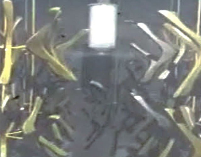 Phun sơn móc áo - Dịch Vụ Sơn Phủ Xanh - Công Ty TNHH Công Nghệ Phủ Xanh