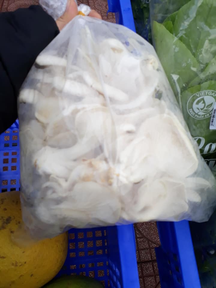 Nấm Bào Ngư trắng
