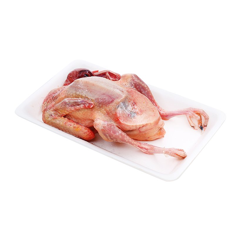 Chim bồ câu - Thực Phẩm Sạch Tâm An - Công Ty TNHH Thực Phẩm Sạch Tâm An Hải Dương