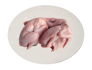 Chim cút - Thực Phẩm Sạch Tâm An - Công Ty TNHH Thực Phẩm Sạch Tâm An Hải Dương