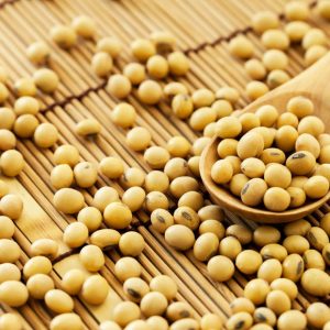 Đỗ tương - Thực Phẩm Sạch Tâm An - Công Ty TNHH Thực Phẩm Sạch Tâm An Hải Dương