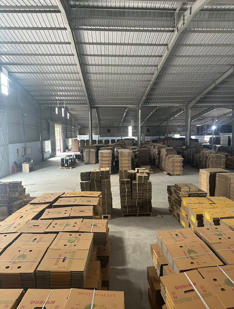 Hình ảnh nhà xưởng công ty Trung Phát - Thùng Carton Trung Phát - Công Ty TNHH Sản Xuất Thương Mại Xuất Nhập Khẩu Trung Phát	