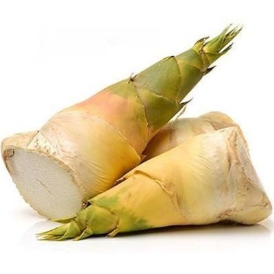 Măng tươi