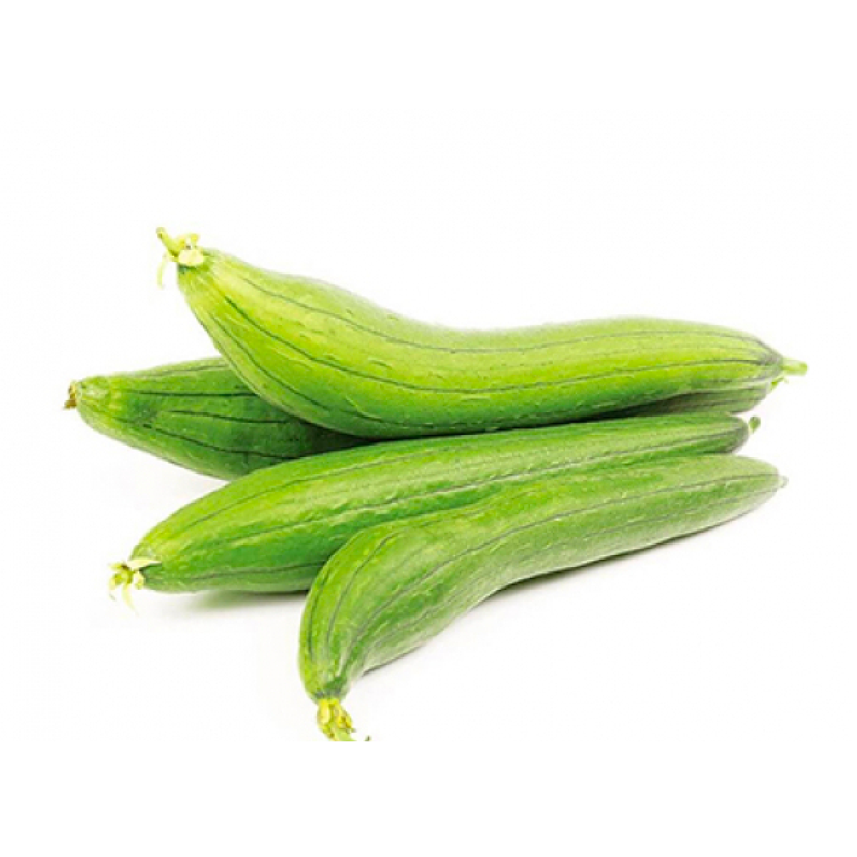 Quả mướp