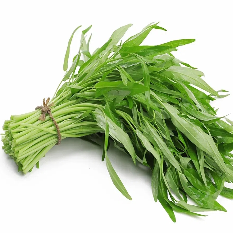 Rau muống