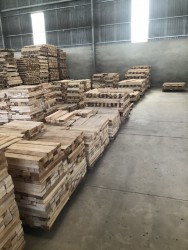 Gỗ tràm bông vàng - Gỗ Tân Thành