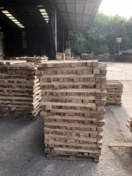 Gỗ tràm bông vàng