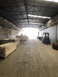 Gỗ tràm bông vàng - Gỗ Tân Thành