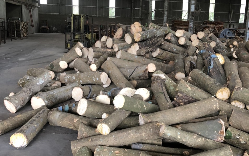 Xưởng sản xuất công ty Gỗ Tân Thành - Gỗ Tân Thành