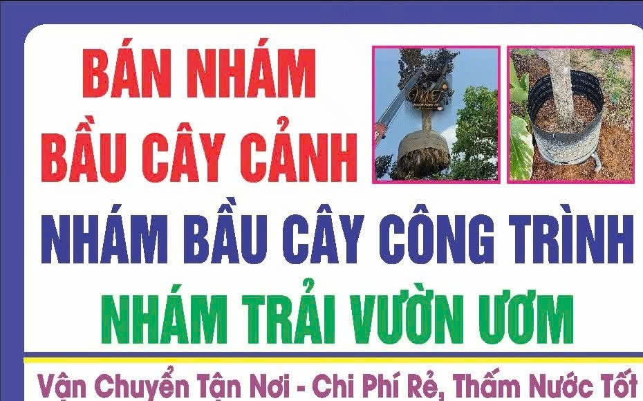 Giấy nhám