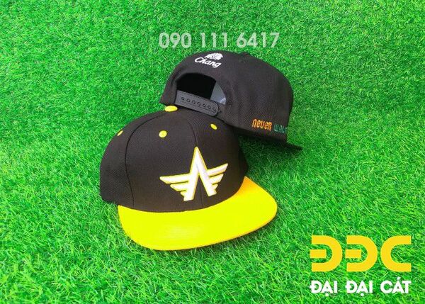 Nón snapback thêu 2D