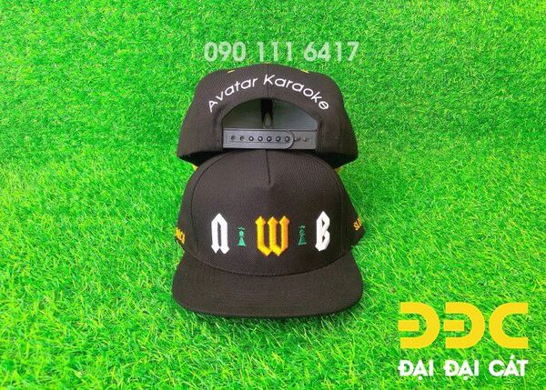 Nón snapback thêu 3D
