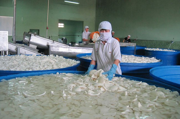 Nhà máy sản xuất cơm dừa công ty Tutilan