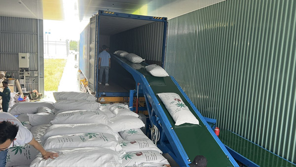 Nhà máy sản xuất cơm dừa công ty Tutilan
