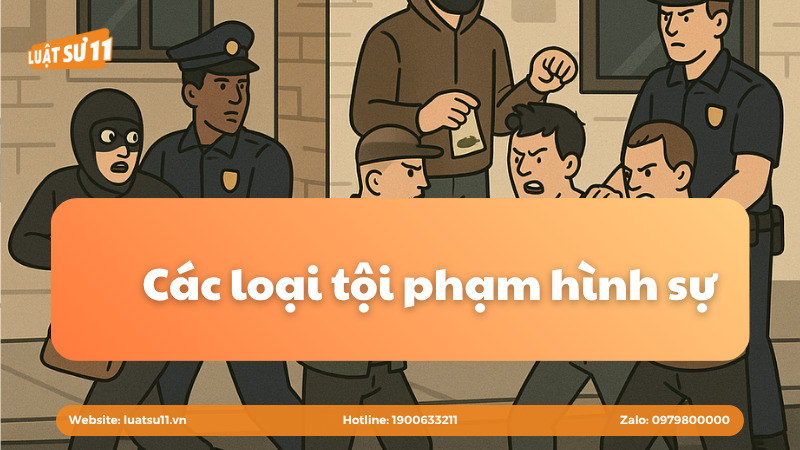 Dịch vụ tư vấn pháp luật hình sự - Dịch Vụ Luật Sư 11 - Công Ty Luật Trách Nhiệm Hữu Hạn Luật Sư 11