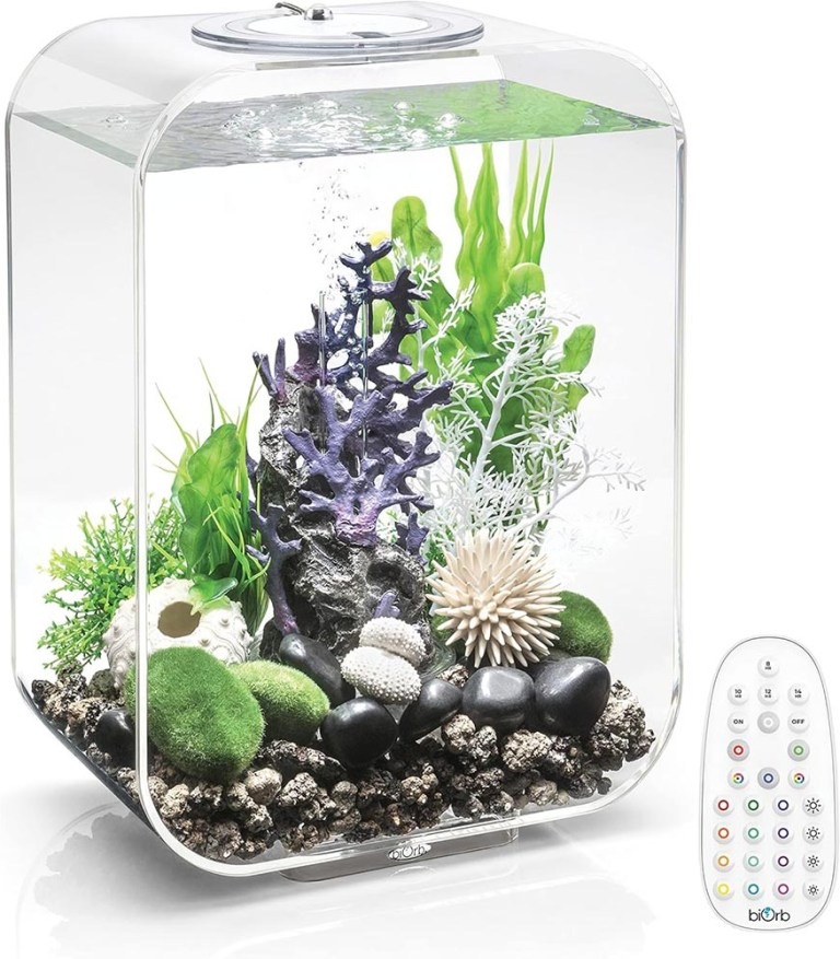 Bể cá Acrylic Biorb Life 15 4 Gallon có đèn - Gia Công MiCa Dòng Chảy Việt Nam - Công Ty TNHH Dòng Chảy Việt Nam