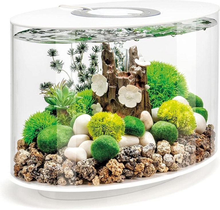 Bể cá Acrylic Biorb Loop 15 4 Gallon đèn led - Gia Công MiCa Dòng Chảy Việt Nam - Công Ty TNHH Dòng Chảy Việt Nam