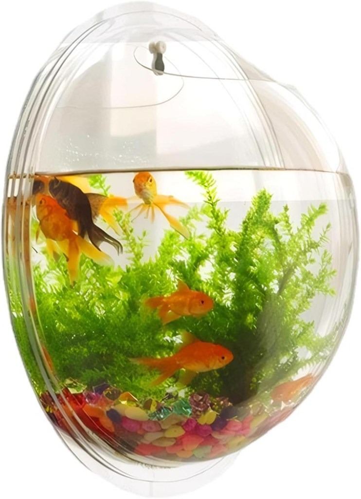 Bể cá treo tường Acrylic đường kính 9,1 inch - Gia Công MiCa Dòng Chảy Việt Nam - Công Ty TNHH Dòng Chảy Việt Nam
