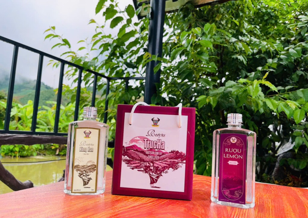 Rượu Hoa quả (hộp quà tặng) - Rượu Trúc Hà - Hộ Kinh Doanh Lê Phúc Dân	