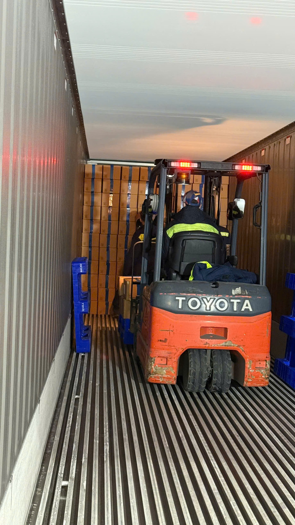 Hình ảnh kho xưởng Sojitz Kokubu - Cho Thuê Kho Lạnh Sojitz Kokubu - Công Ty TNHH Sojitz Kokubu Logistics Solution