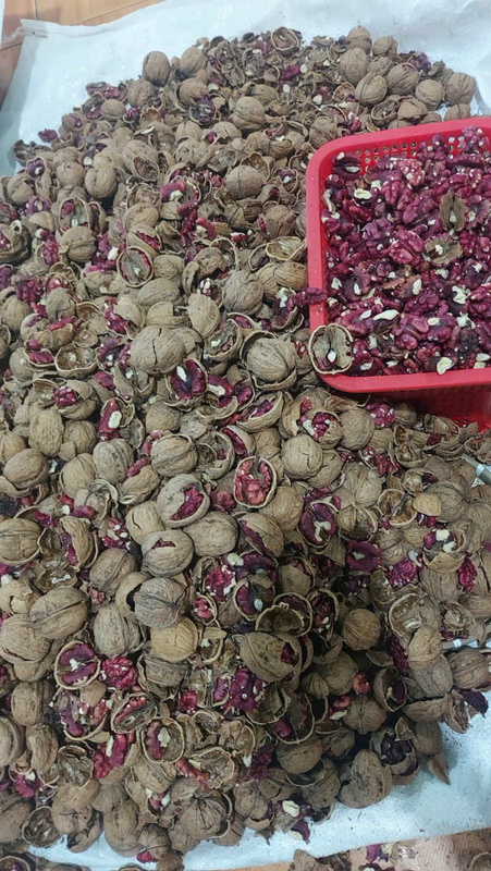 Hạt óc chó đỏ