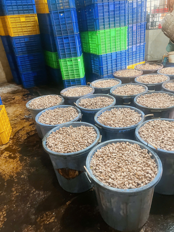 Kho hàng sản phẩm Tiến Đạt