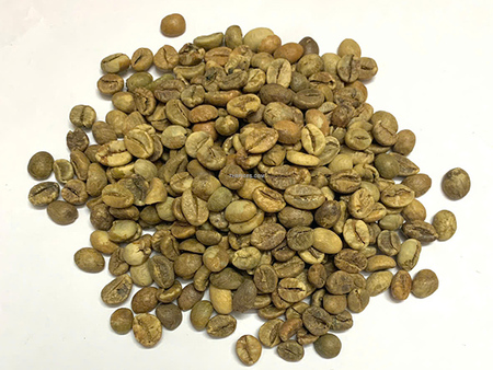 Hạt cà phê xanh Robusta sạch - Nông Sản Gia Vị TH - Công Ty TNHH Xuất Nhập Khẩu Gia Vị TH