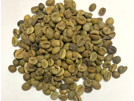 Hạt cà phê xanh Robusta thường - Nông Sản Gia Vị TH - Công Ty TNHH Xuất Nhập Khẩu Gia Vị TH