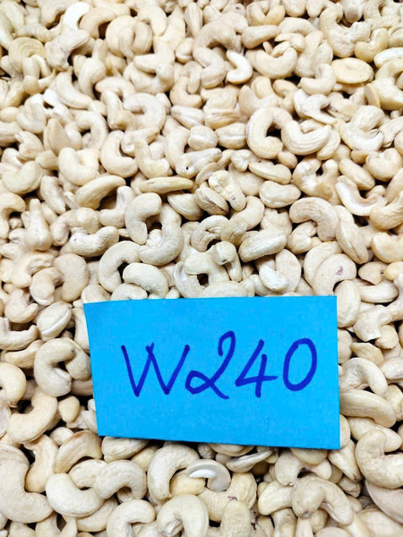 Hạt điều nhân trắng - Nông Sản Gia Vị TH - Công Ty TNHH Xuất Nhập Khẩu Gia Vị TH