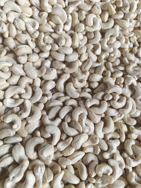 Hạt điều nhân trắng - Nông Sản Gia Vị TH - Công Ty TNHH Xuất Nhập Khẩu Gia Vị TH