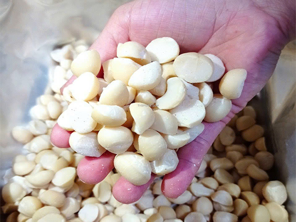Hạt Macadamia - Nông Sản Gia Vị TH - Công Ty TNHH Xuất Nhập Khẩu Gia Vị TH
