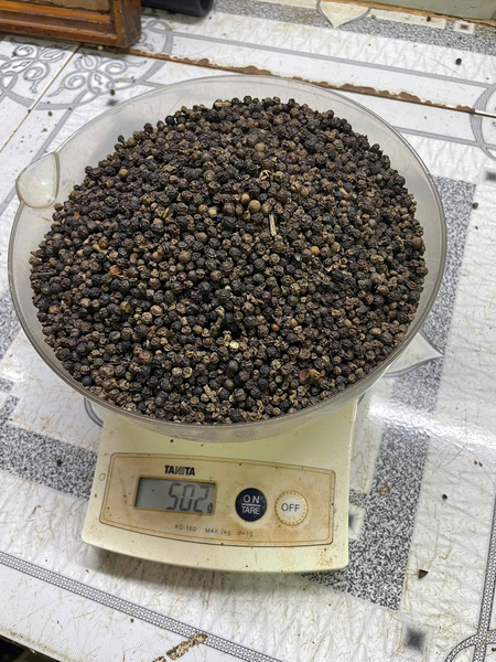 Hạt tiêu đen 500gl FAQ - Nông Sản Gia Vị TH - Công Ty TNHH Xuất Nhập Khẩu Gia Vị TH