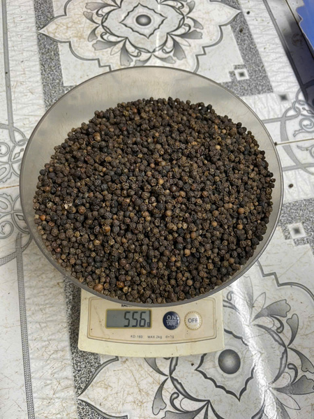 Hạt tiêu đen 550gl MC - Nông Sản Gia Vị TH - Công Ty TNHH Xuất Nhập Khẩu Gia Vị TH