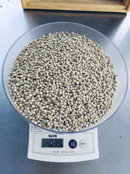 Hạt tiêu trắng - Nông Sản Gia Vị TH - Công Ty TNHH Xuất Nhập Khẩu Gia Vị TH